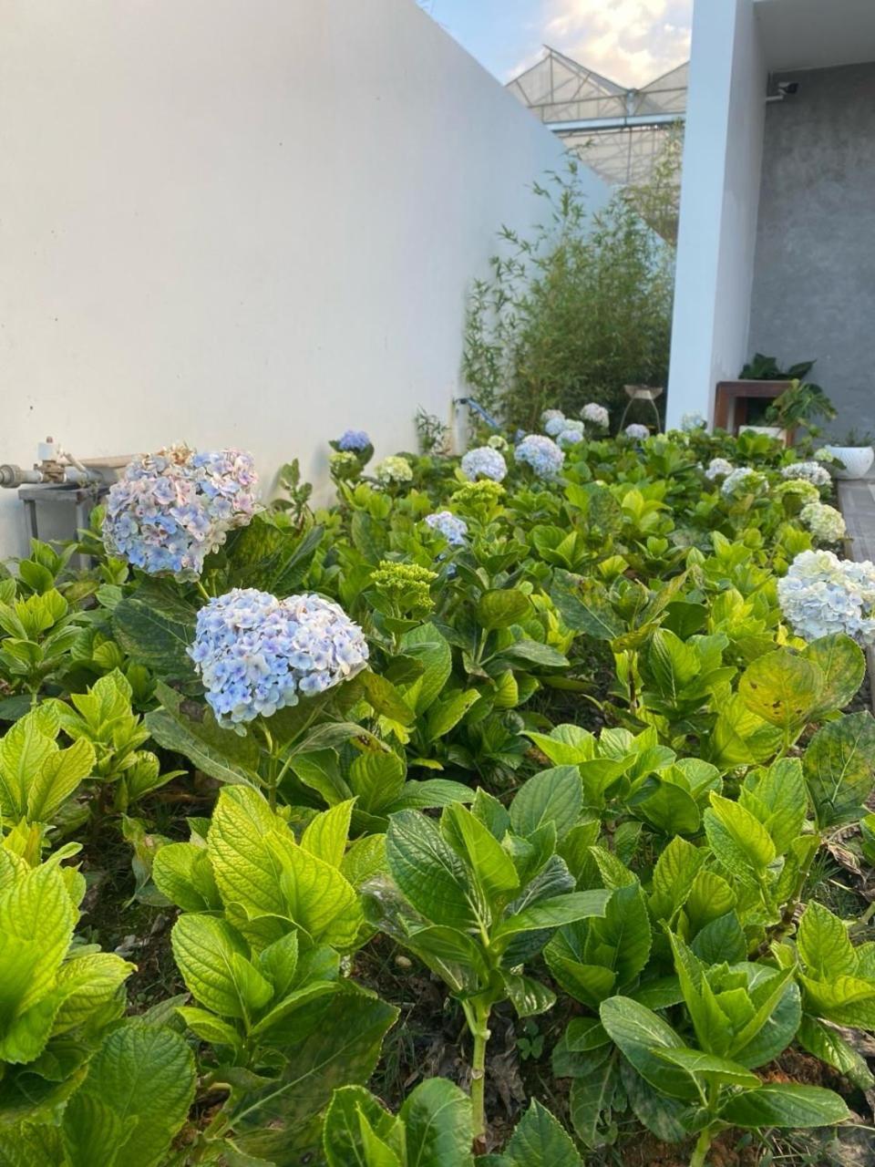 Hotel Ekehaus Da Lat Khu Chi Lăng Zewnętrze zdjęcie
